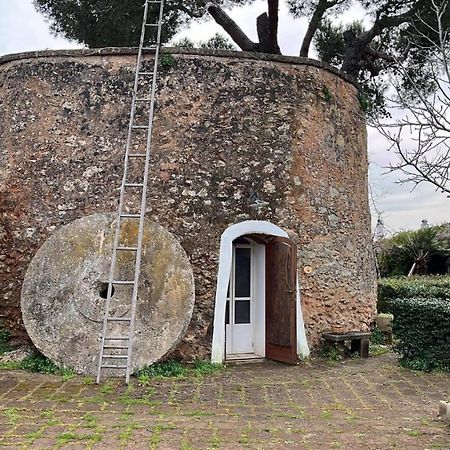 Masseria Gatto Bianco Provenzani Casalabate Exterior photo