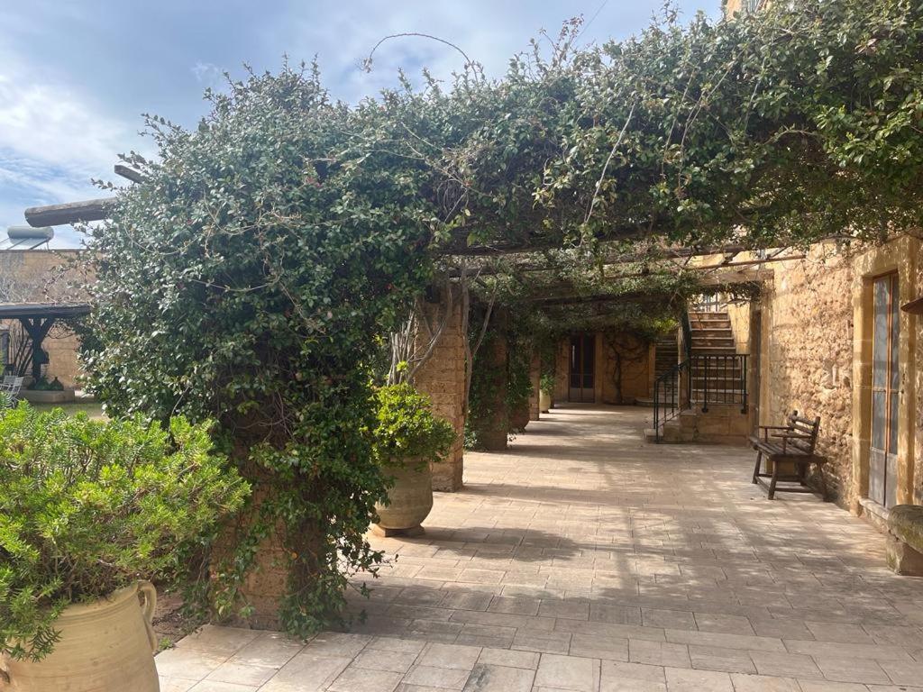 Masseria Gatto Bianco Provenzani Casalabate Exterior photo